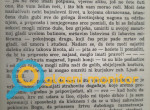 Ratno roblje, prva knjiga (3)