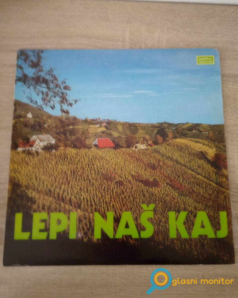 Lepi naš kaj Gramofonska ploča